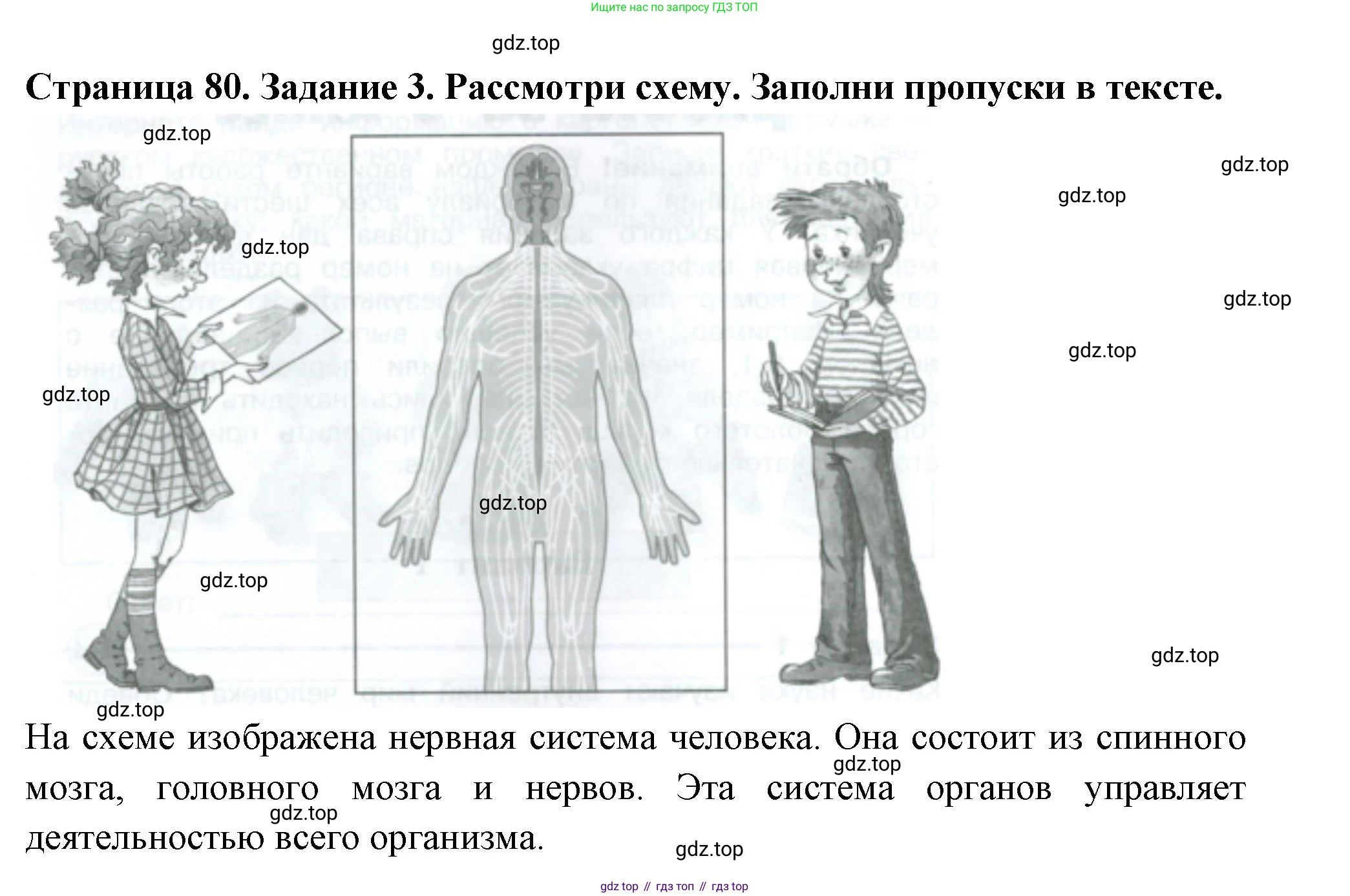 Окружающий мир, 3 класс Проверочные работы, авторы: Плешаков Андрей Анатольевич, Плешаков С А, издательство Просвещение, Москва, 2023, белого цвета, страница 80, номер 3, Решение
