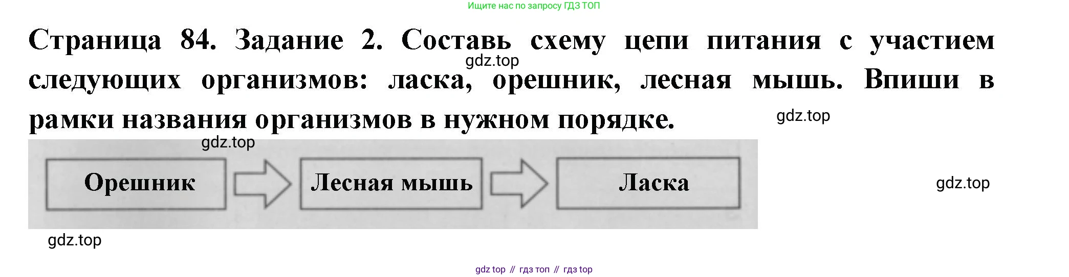 Окружающий мир, 3 класс Проверочные работы, авторы: Плешаков Андрей Анатольевич, Плешаков С А, издательство Просвещение, Москва, 2023, белого цвета, страница 84, номер 2, Решение