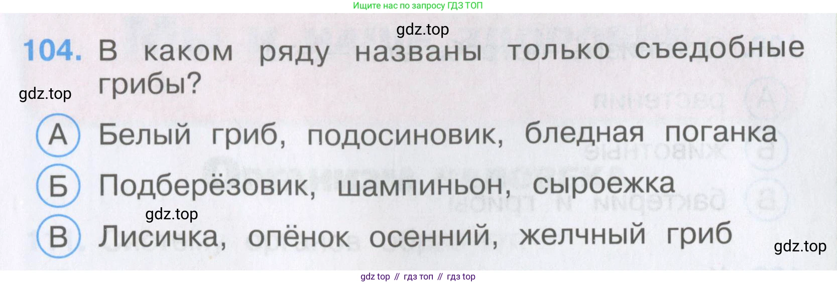 Окружающий мир, 3 класс Тесты, авторы: Плешаков Андрей Анатольевич, Гара Наталья Николаевна, Назарова З Д, издательство Просвещение, Москва, 2014, белого цвета, страница 33, номер 104, Условие