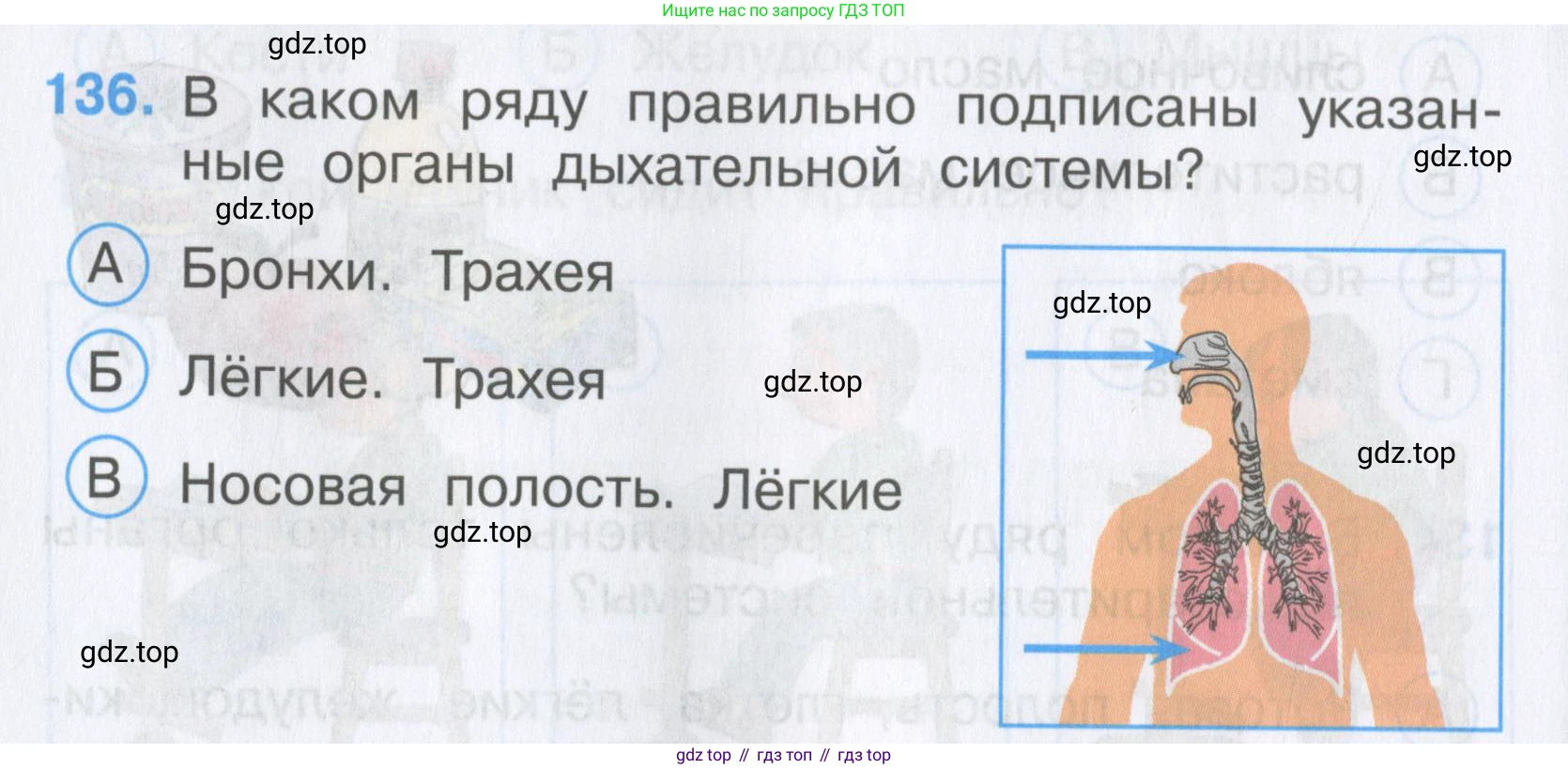 Окружающий мир, 3 класс Тесты, авторы: Плешаков Андрей Анатольевич, Гара Наталья Николаевна, Назарова З Д, издательство Просвещение, Москва, 2014, белого цвета, страница 42, номер 136, Условие