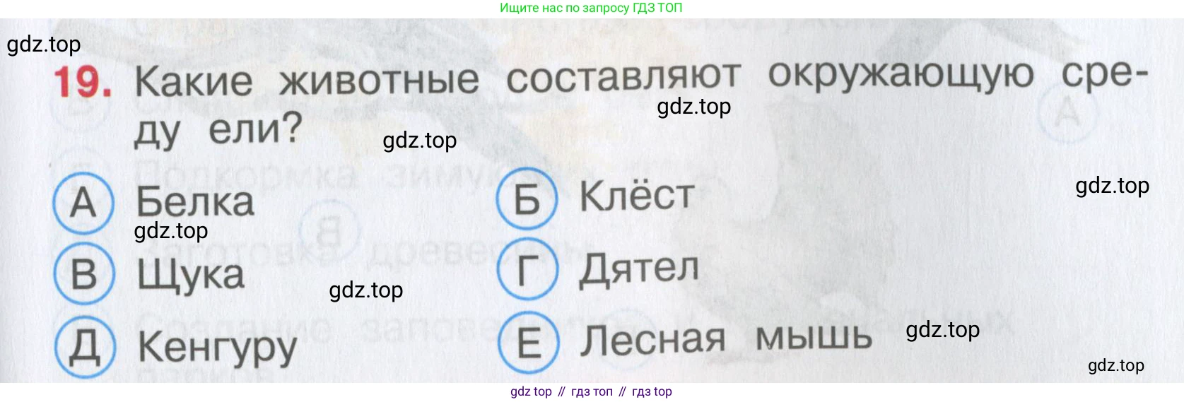 Окружающий мир, 3 класс Тесты, авторы: Плешаков Андрей Анатольевич, Гара Наталья Николаевна, Назарова З Д, издательство Просвещение, Москва, 2014, белого цвета, страница 7, номер 19, Условие