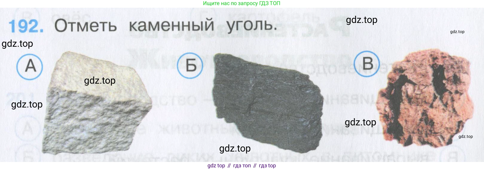 Окружающий мир, 3 класс Тесты, авторы: Плешаков Андрей Анатольевич, Гара Наталья Николаевна, Назарова З Д, издательство Просвещение, Москва, 2014, белого цвета, страница 59, номер 192, Условие