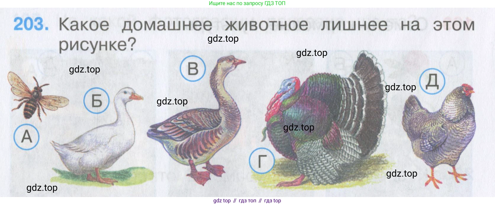 Окружающий мир, 3 класс Тесты, авторы: Плешаков Андрей Анатольевич, Гара Наталья Николаевна, Назарова З Д, издательство Просвещение, Москва, 2014, белого цвета, страница 62, номер 203, Условие
