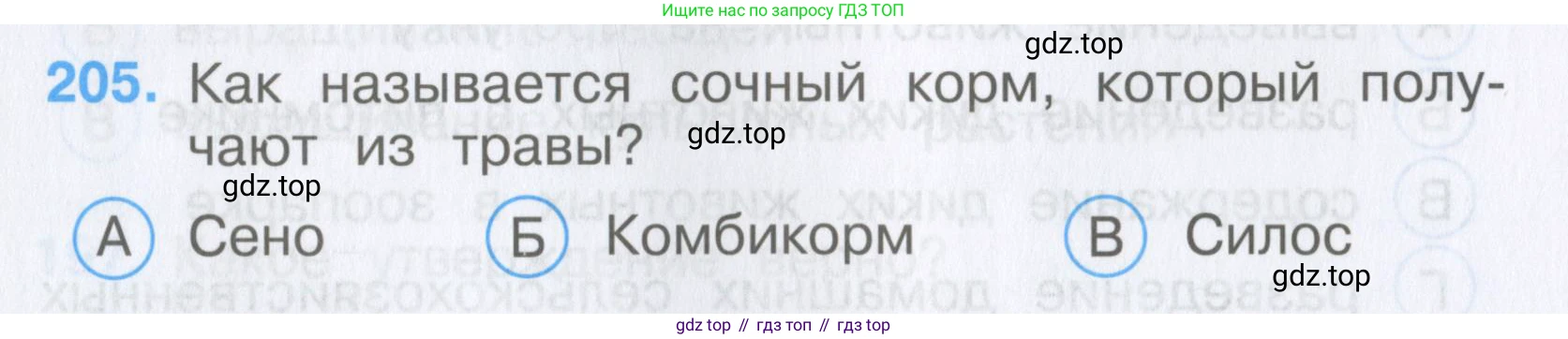 Окружающий мир, 3 класс Тесты, авторы: Плешаков Андрей Анатольевич, Гара Наталья Николаевна, Назарова З Д, издательство Просвещение, Москва, 2014, белого цвета, страница 62, номер 205, Условие
