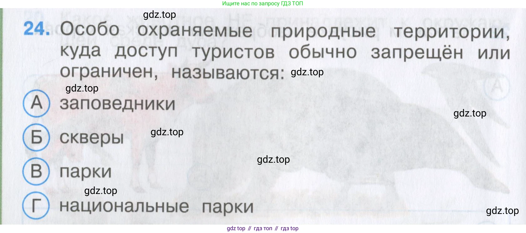 Окружающий мир, 3 класс Тесты, авторы: Плешаков Андрей Анатольевич, Гара Наталья Николаевна, Назарова З Д, издательство Просвещение, Москва, 2014, белого цвета, страница 10, номер 24, Условие