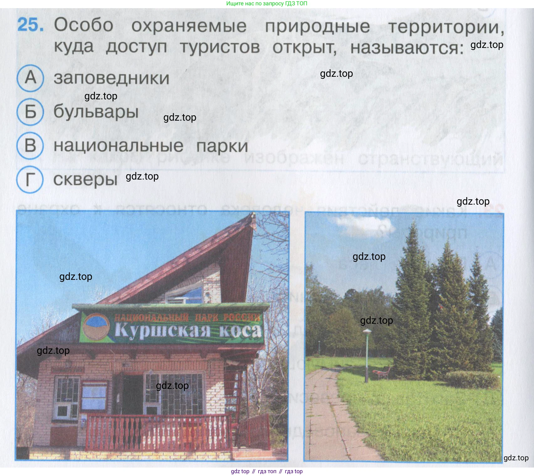Окружающий мир, 3 класс Тесты, авторы: Плешаков Андрей Анатольевич, Гара Наталья Николаевна, Назарова З Д, издательство Просвещение, Москва, 2014, белого цвета, страница 10, номер 25, Условие
