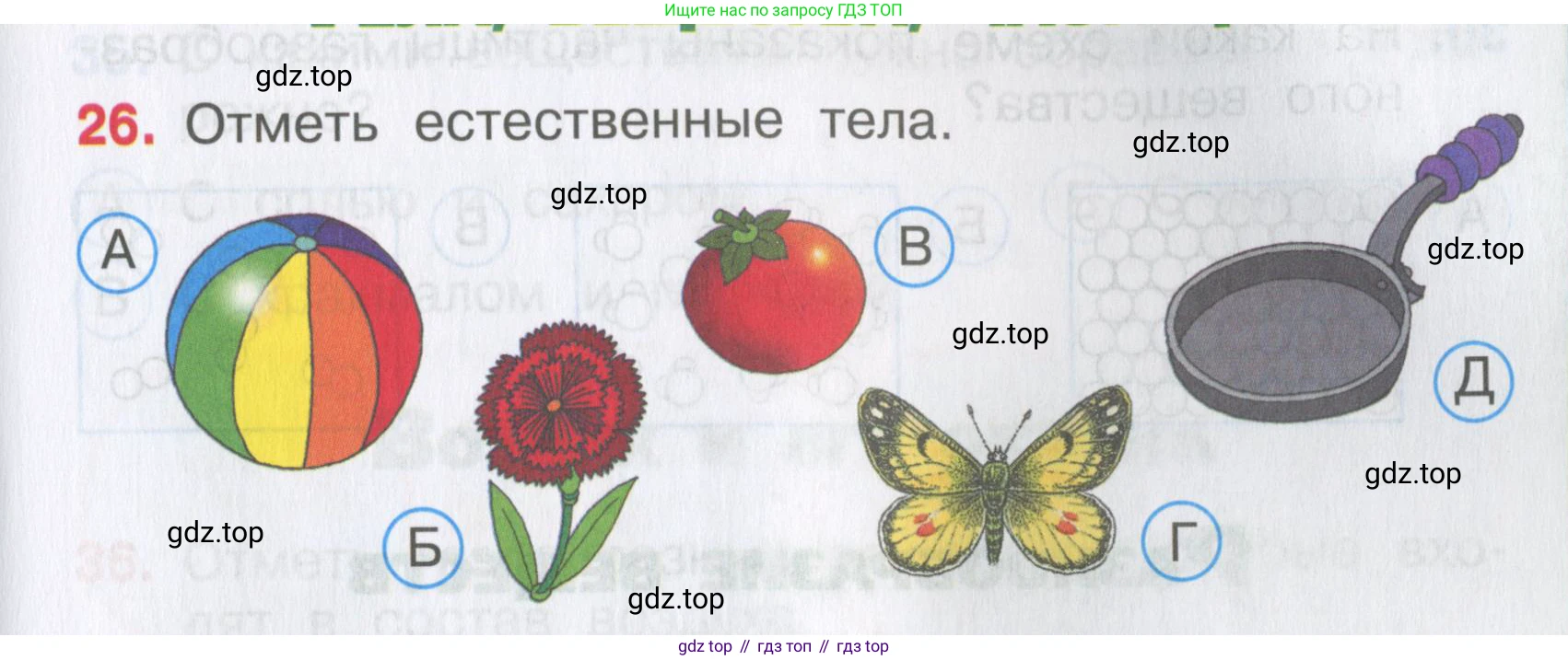Окружающий мир, 3 класс Тесты, авторы: Плешаков Андрей Анатольевич, Гара Наталья Николаевна, Назарова З Д, издательство Просвещение, Москва, 2014, белого цвета, страница 11, номер 26, Условие