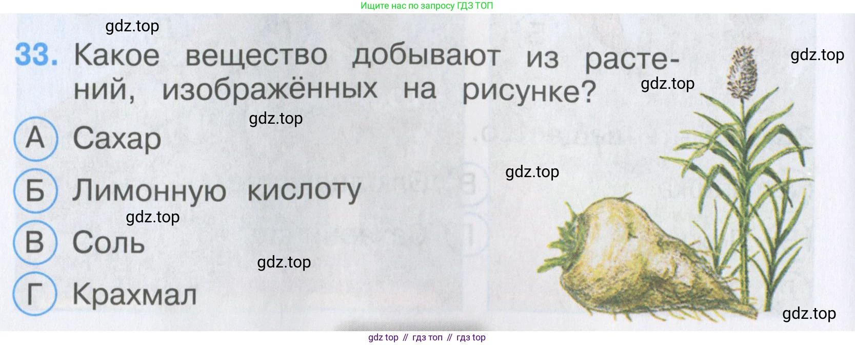 Окружающий мир, 3 класс Тесты, авторы: Плешаков Андрей Анатольевич, Гара Наталья Николаевна, Назарова З Д, издательство Просвещение, Москва, 2014, белого цвета, страница 12, номер 33, Условие