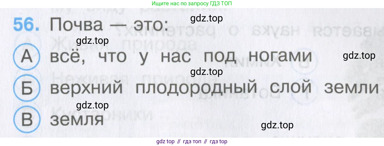 Окружающий мир, 3 класс Тесты, авторы: Плешаков Андрей Анатольевич, Гара Наталья Николаевна, Назарова З Д, издательство Просвещение, Москва, 2014, белого цвета, страница 19, номер 56, Условие