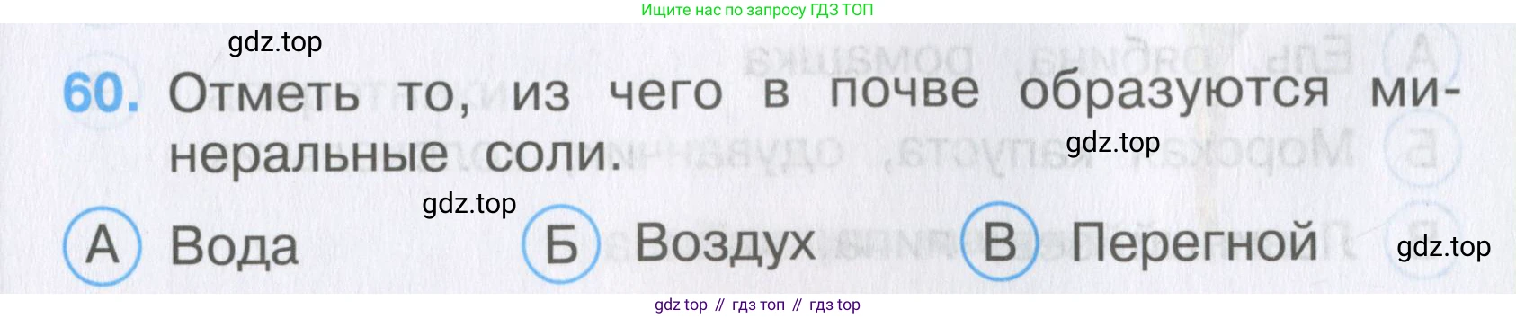 Окружающий мир, 3 класс Тесты, авторы: Плешаков Андрей Анатольевич, Гара Наталья Николаевна, Назарова З Д, издательство Просвещение, Москва, 2014, белого цвета, страница 19, номер 60, Условие