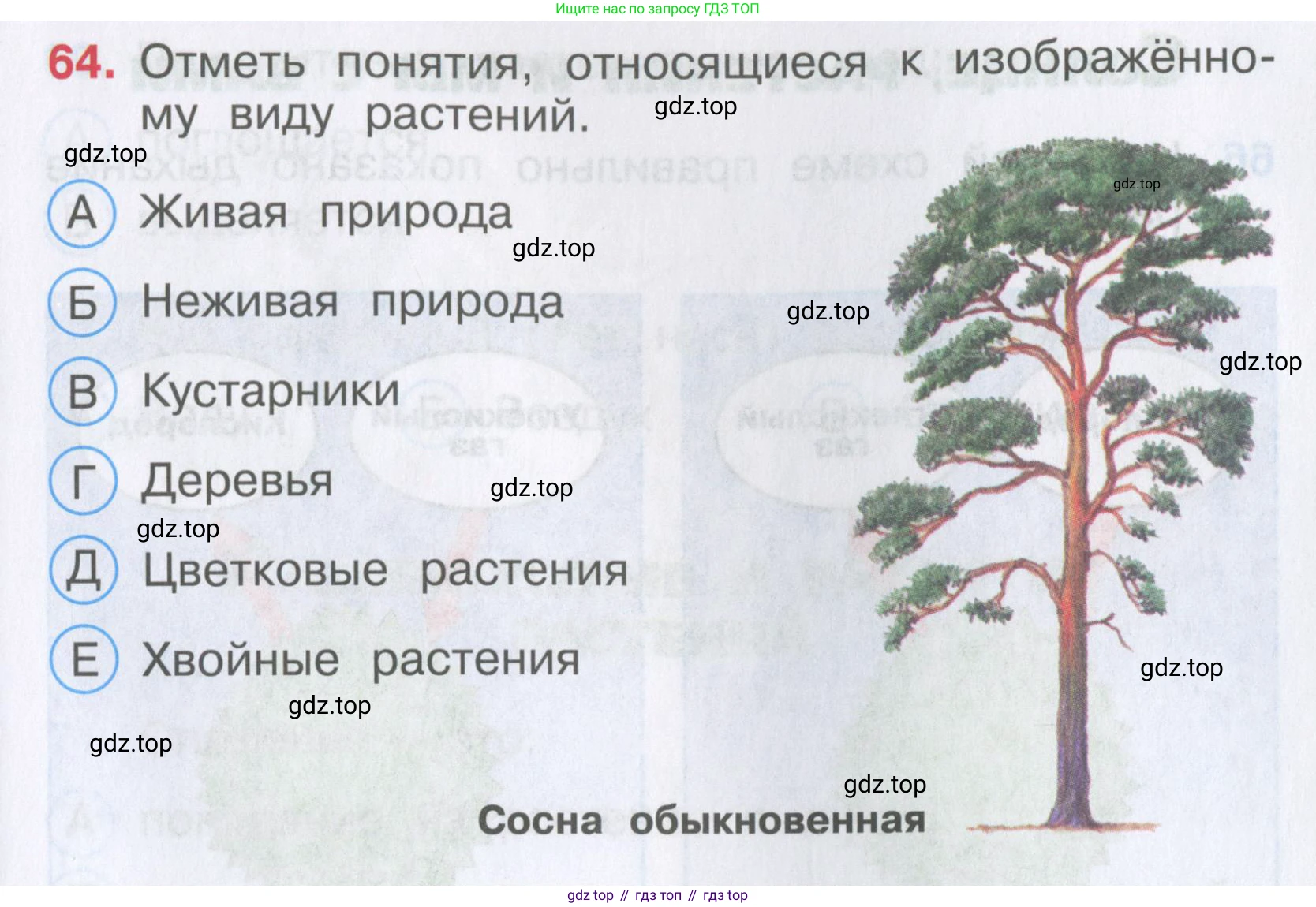 Окружающий мир, 3 класс Тесты, авторы: Плешаков Андрей Анатольевич, Гара Наталья Николаевна, Назарова З Д, издательство Просвещение, Москва, 2014, белого цвета, страница 21, номер 64, Условие