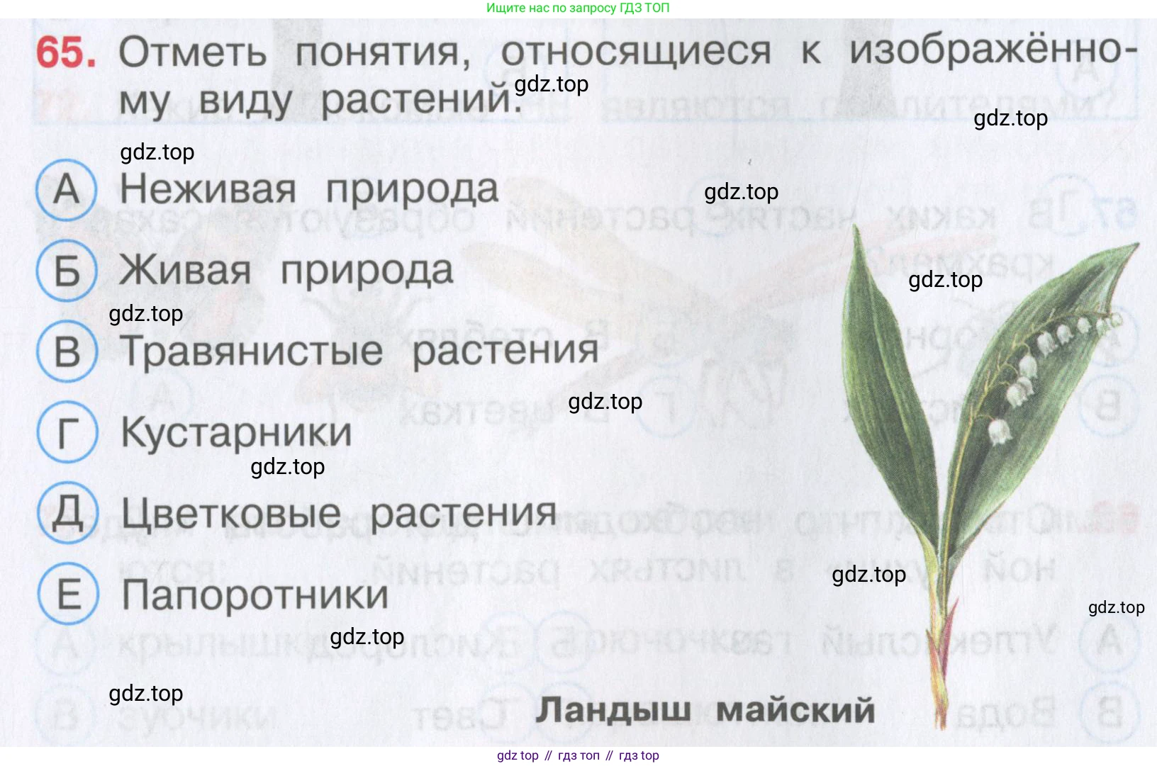 Окружающий мир, 3 класс Тесты, авторы: Плешаков Андрей Анатольевич, Гара Наталья Николаевна, Назарова З Д, издательство Просвещение, Москва, 2014, белого цвета, страница 21, номер 65, Условие