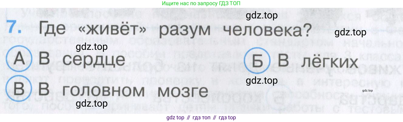 Окружающий мир, 3 класс Тесты, авторы: Плешаков Андрей Анатольевич, Гара Наталья Николаевна, Назарова З Д, издательство Просвещение, Москва, 2014, белого цвета, страница 4, номер 7, Условие