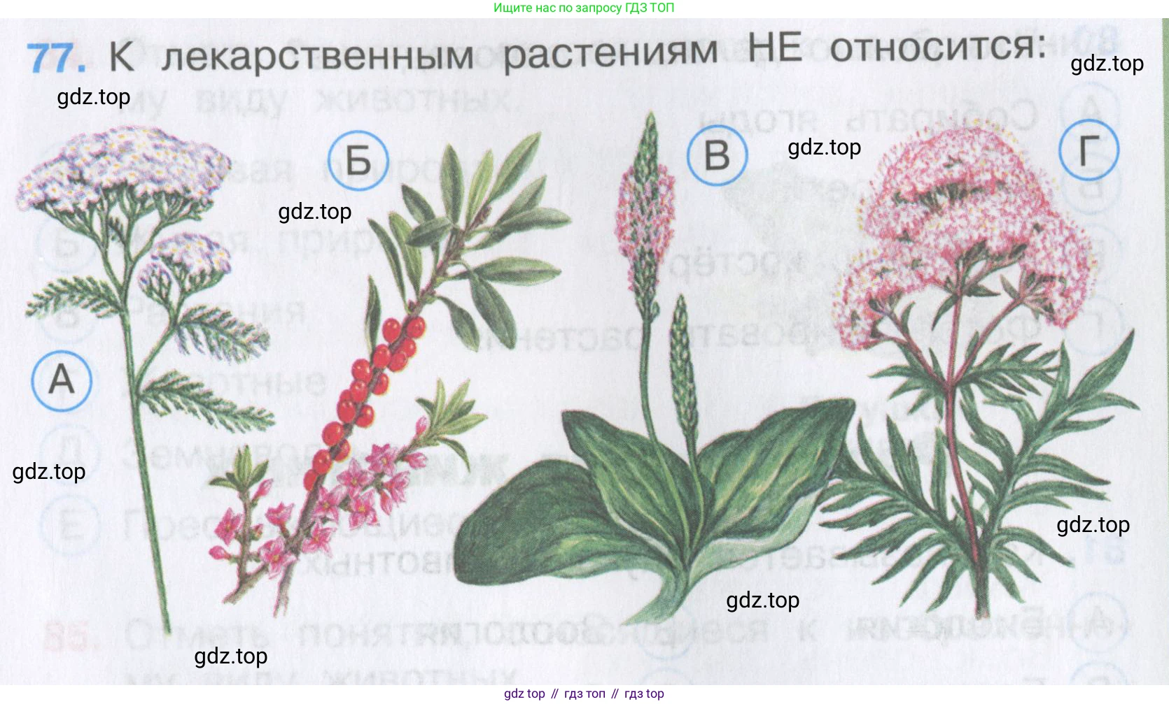 Окружающий мир, 3 класс Тесты, авторы: Плешаков Андрей Анатольевич, Гара Наталья Николаевна, Назарова З Д, издательство Просвещение, Москва, 2014, белого цвета, страница 25, номер 77, Условие