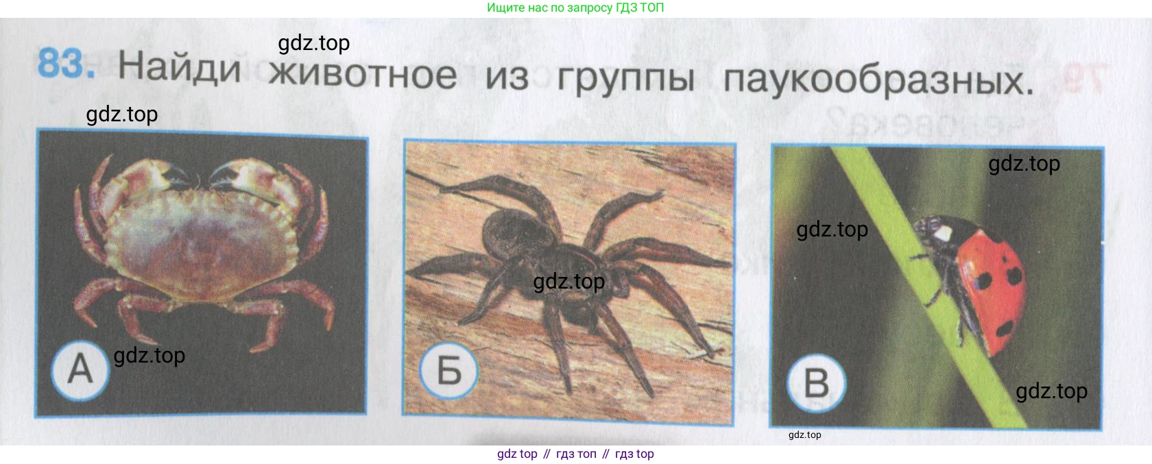 Окружающий мир, 3 класс Тесты, авторы: Плешаков Андрей Анатольевич, Гара Наталья Николаевна, Назарова З Д, издательство Просвещение, Москва, 2014, белого цвета, страница 26, номер 83, Условие