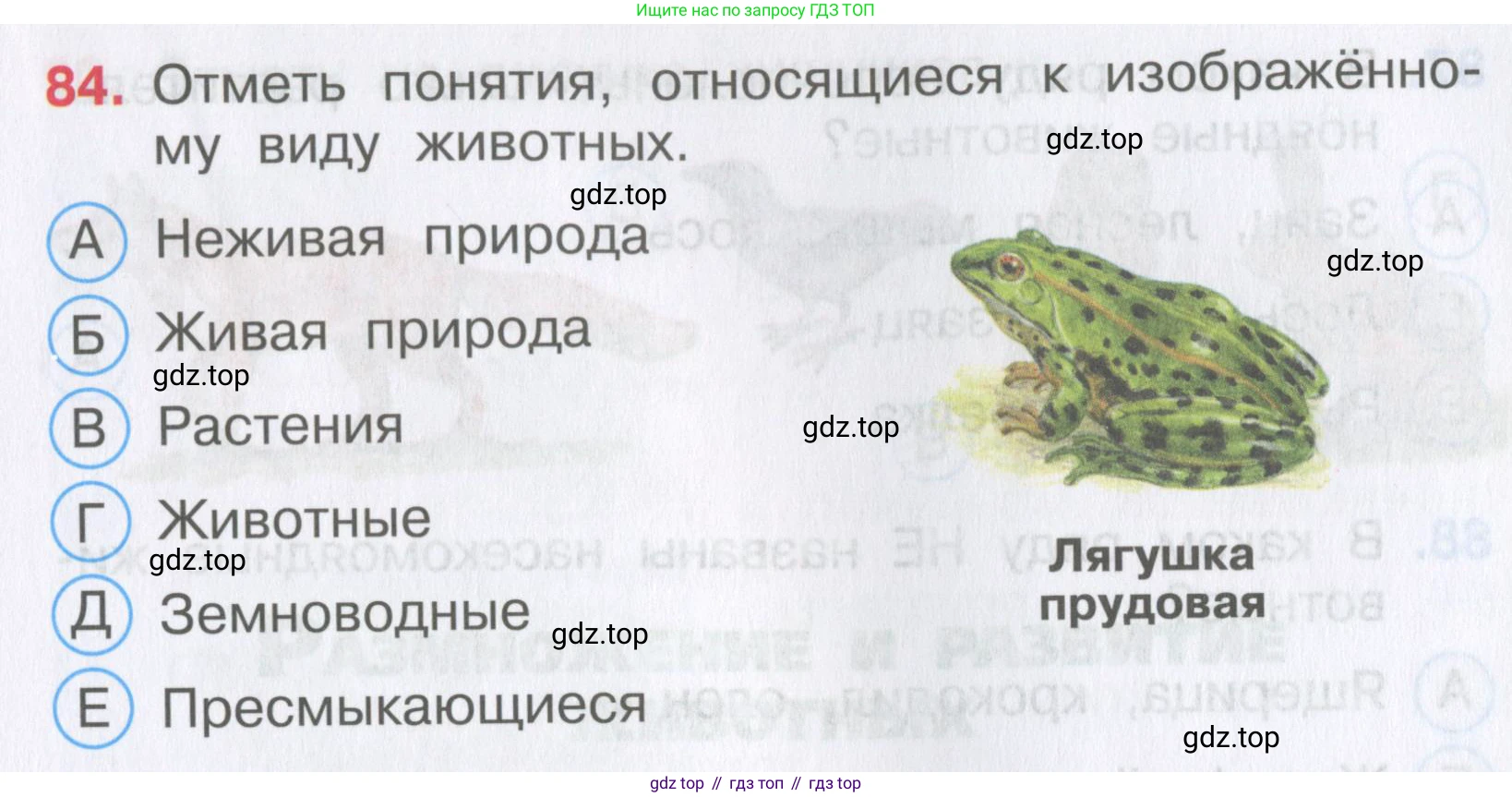 Окружающий мир, 3 класс Тесты, авторы: Плешаков Андрей Анатольевич, Гара Наталья Николаевна, Назарова З Д, издательство Просвещение, Москва, 2014, белого цвета, страница 27, номер 84, Условие