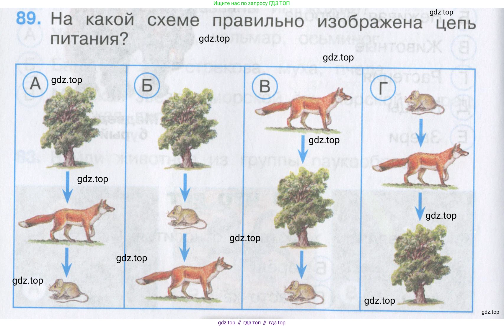 Окружающий мир, 3 класс Тесты, авторы: Плешаков Андрей Анатольевич, Гара Наталья Николаевна, Назарова З Д, издательство Просвещение, Москва, 2014, белого цвета, страница 28, номер 89, Условие