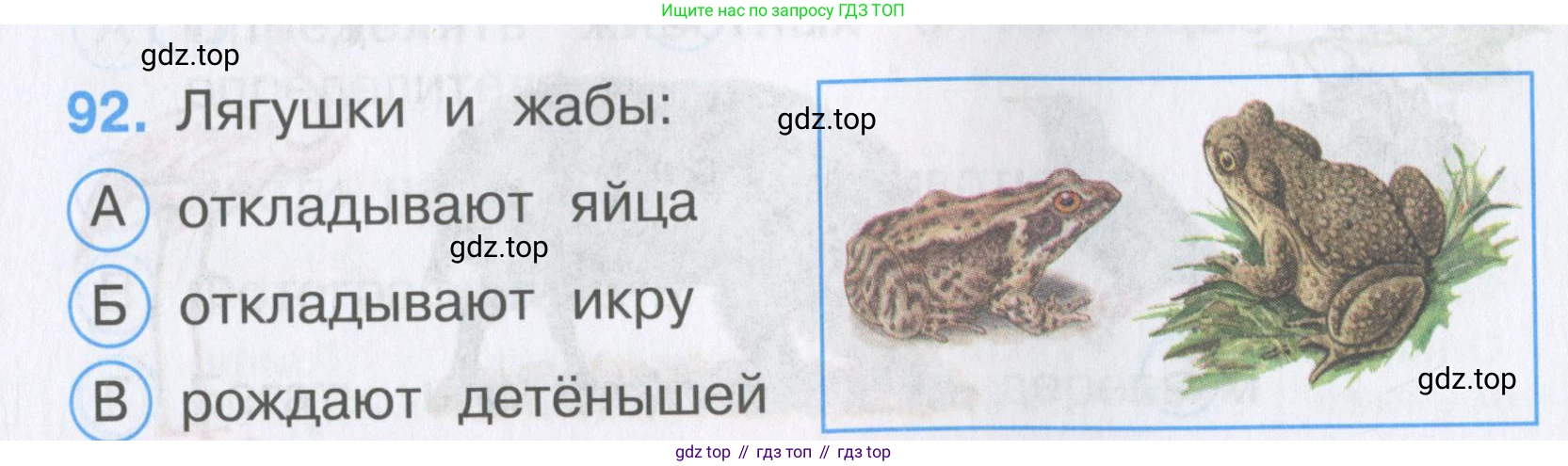 Окружающий мир, 3 класс Тесты, авторы: Плешаков Андрей Анатольевич, Гара Наталья Николаевна, Назарова З Д, издательство Просвещение, Москва, 2014, белого цвета, страница 29, номер 92, Условие