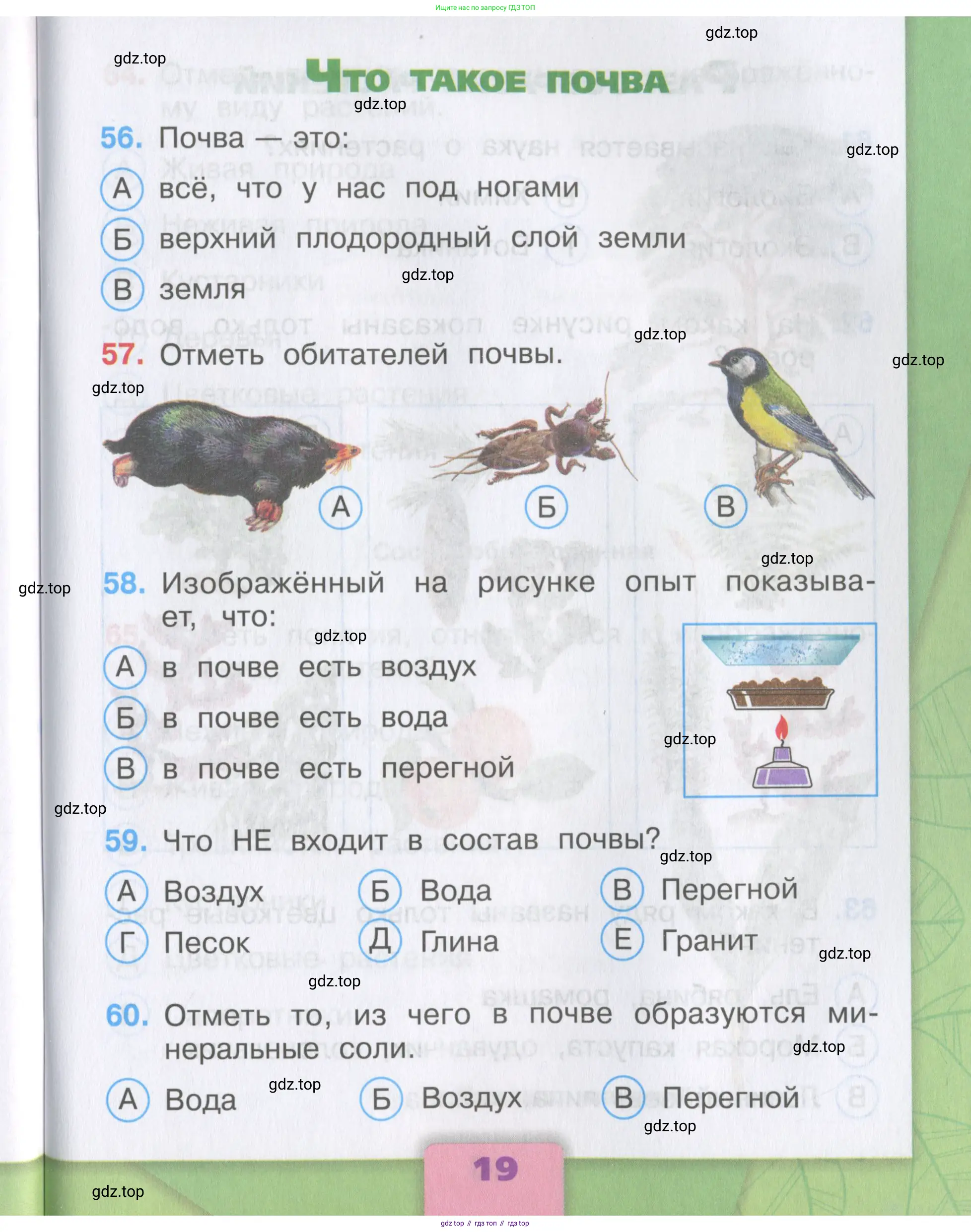 Окружающий мир, 3 класс Тесты, авторы: Плешаков Андрей Анатольевич, Гара Наталья Николаевна, Назарова З Д, издательство Просвещение, Москва, 2014, белого цвета, страница 19