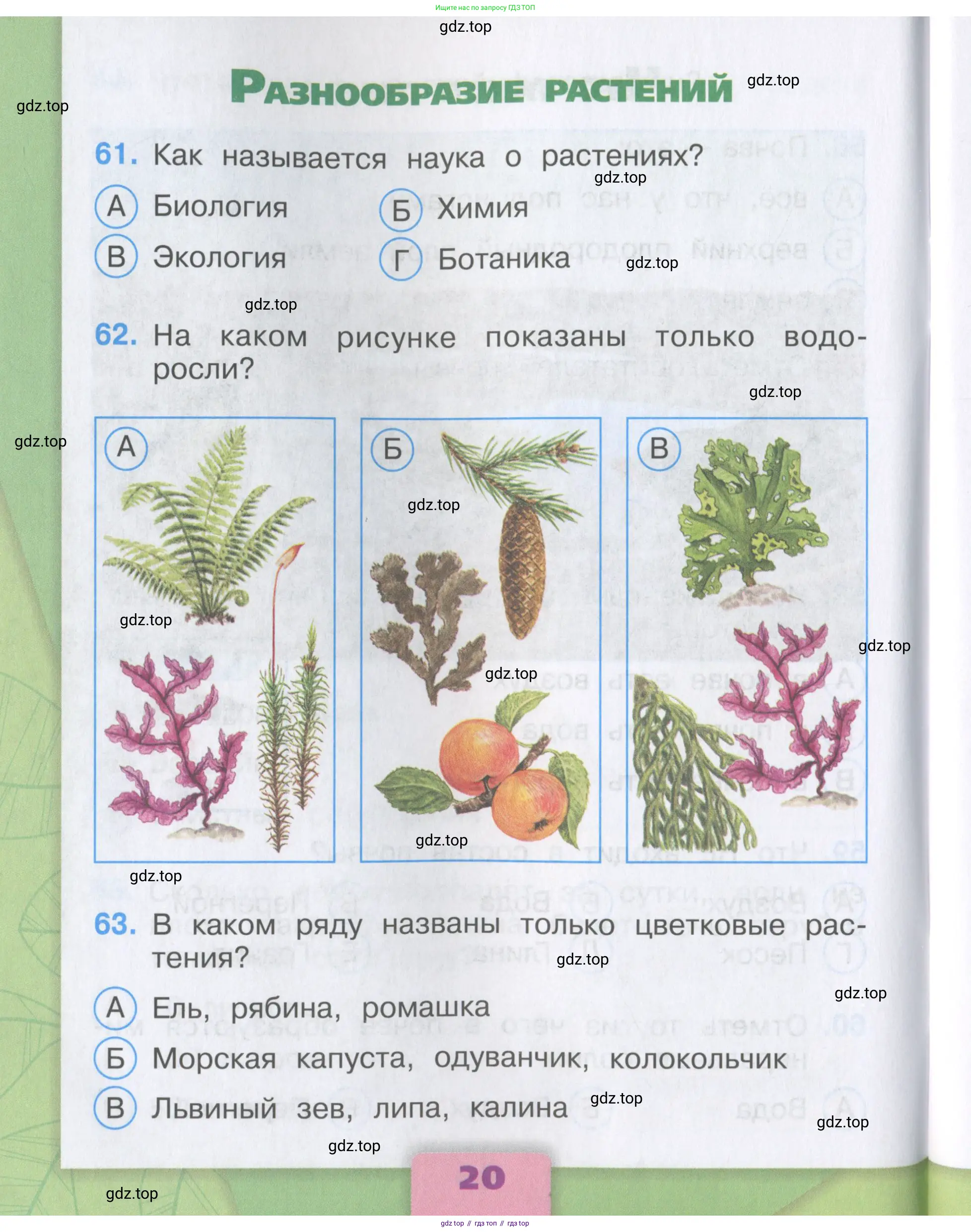 Окружающий мир, 3 класс Тесты, авторы: Плешаков Андрей Анатольевич, Гара Наталья Николаевна, Назарова З Д, издательство Просвещение, Москва, 2014, белого цвета, страница 20