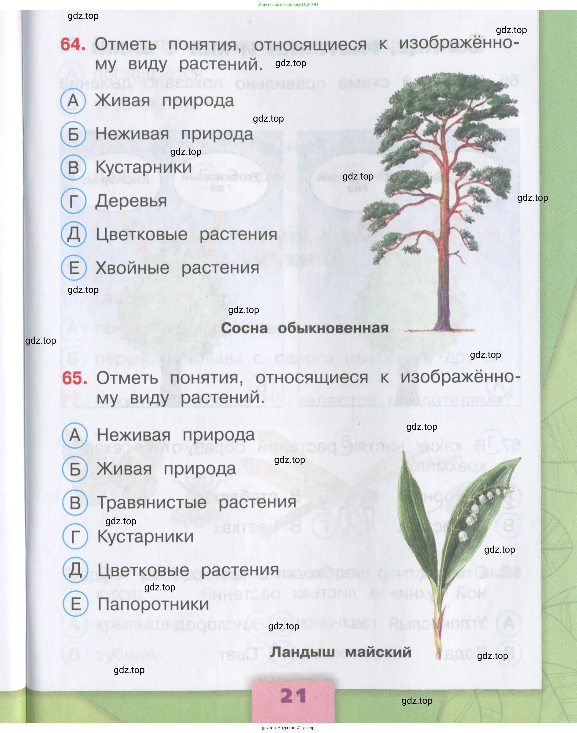 Окружающий мир, 3 класс Тесты, авторы: Плешаков Андрей Анатольевич, Гара Наталья Николаевна, Назарова З Д, издательство Просвещение, Москва, 2014, белого цвета, страница 21