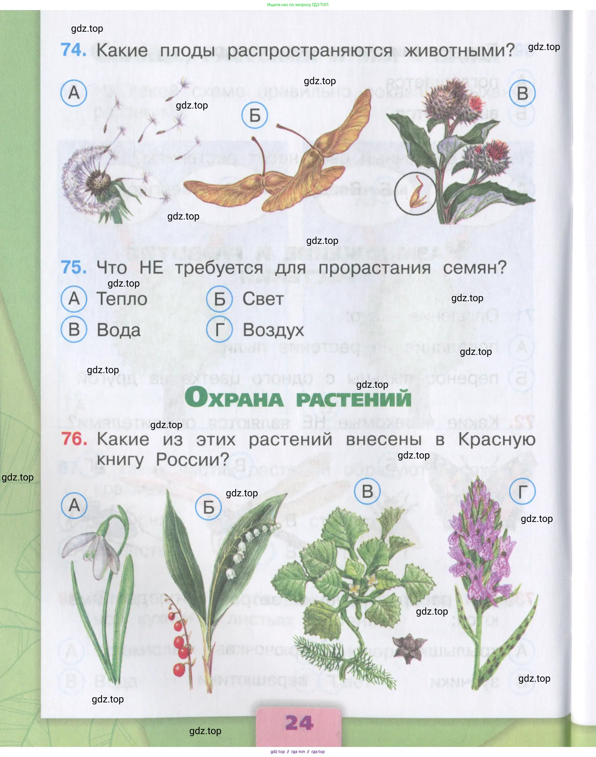 Окружающий мир, 3 класс Тесты, авторы: Плешаков Андрей Анатольевич, Гара Наталья Николаевна, Назарова З Д, издательство Просвещение, Москва, 2014, белого цвета, страница 24