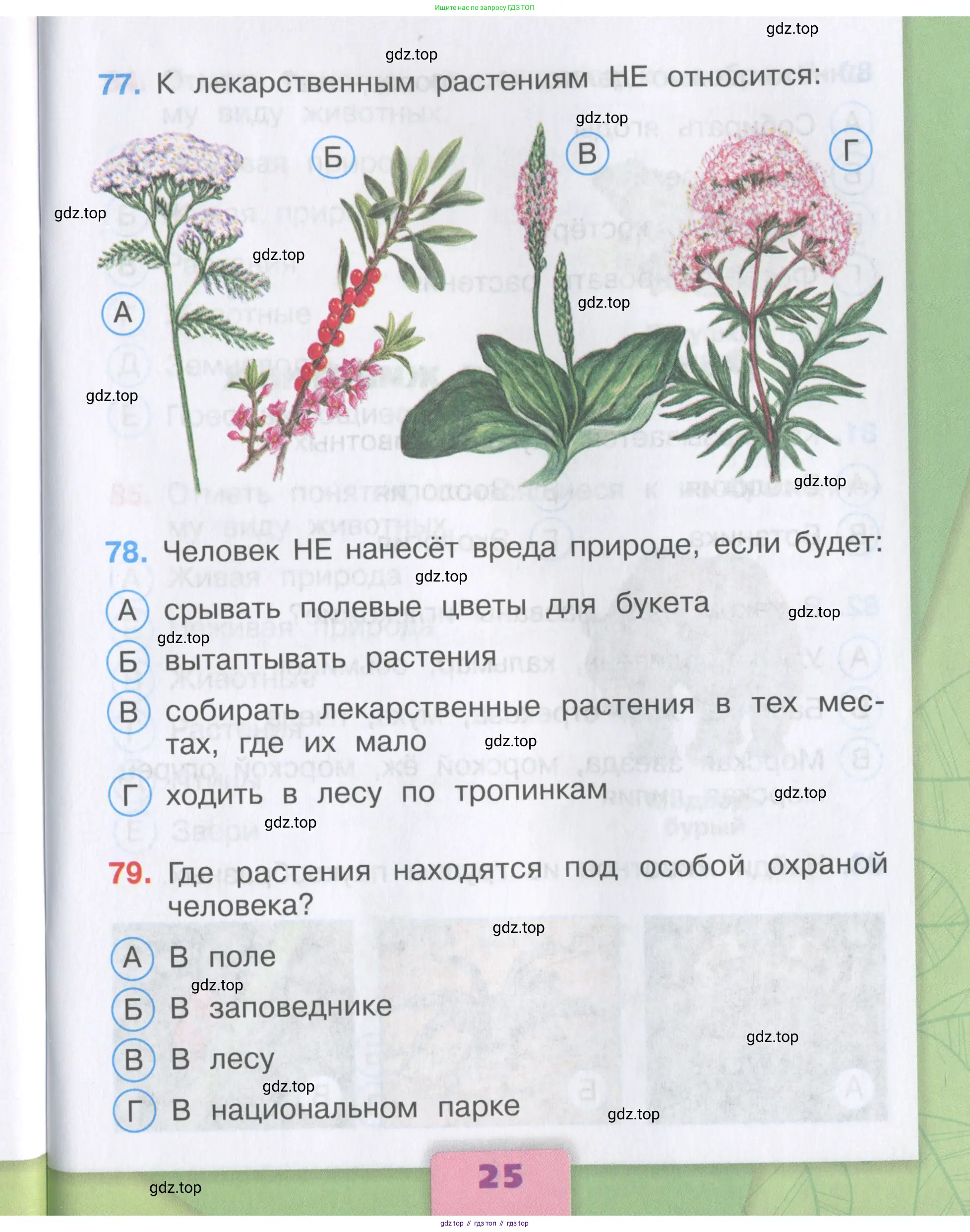 Окружающий мир, 3 класс Тесты, авторы: Плешаков Андрей Анатольевич, Гара Наталья Николаевна, Назарова З Д, издательство Просвещение, Москва, 2014, белого цвета, страница 25