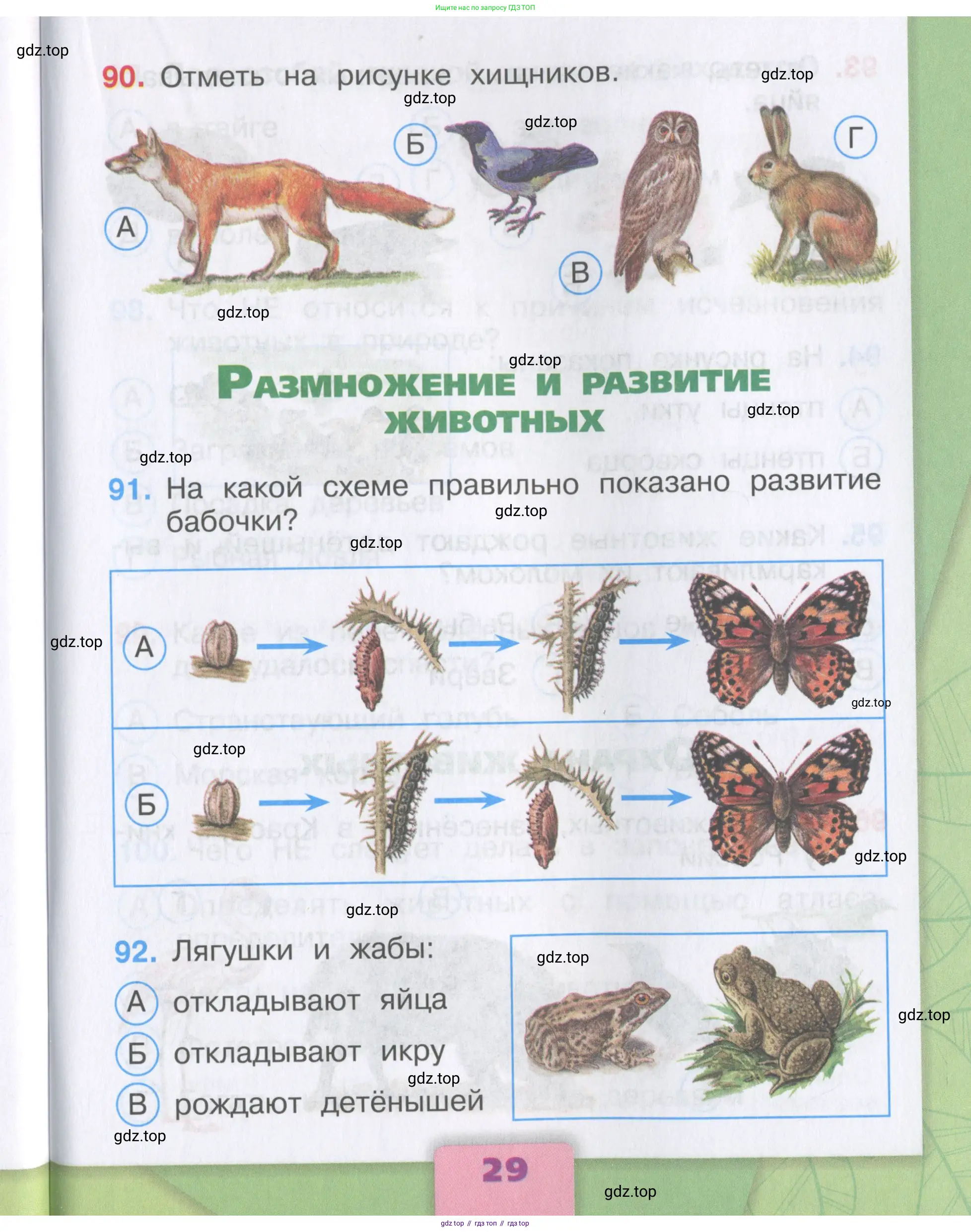 Окружающий мир, 3 класс Тесты, авторы: Плешаков Андрей Анатольевич, Гара Наталья Николаевна, Назарова З Д, издательство Просвещение, Москва, 2014, белого цвета, страница 29