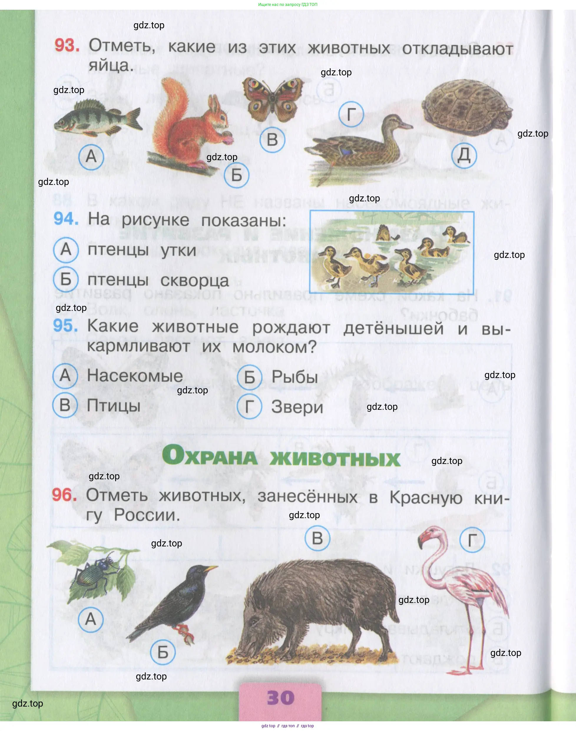 Окружающий мир, 3 класс Тесты, авторы: Плешаков Андрей Анатольевич, Гара Наталья Николаевна, Назарова З Д, издательство Просвещение, Москва, 2014, белого цвета, страница 30