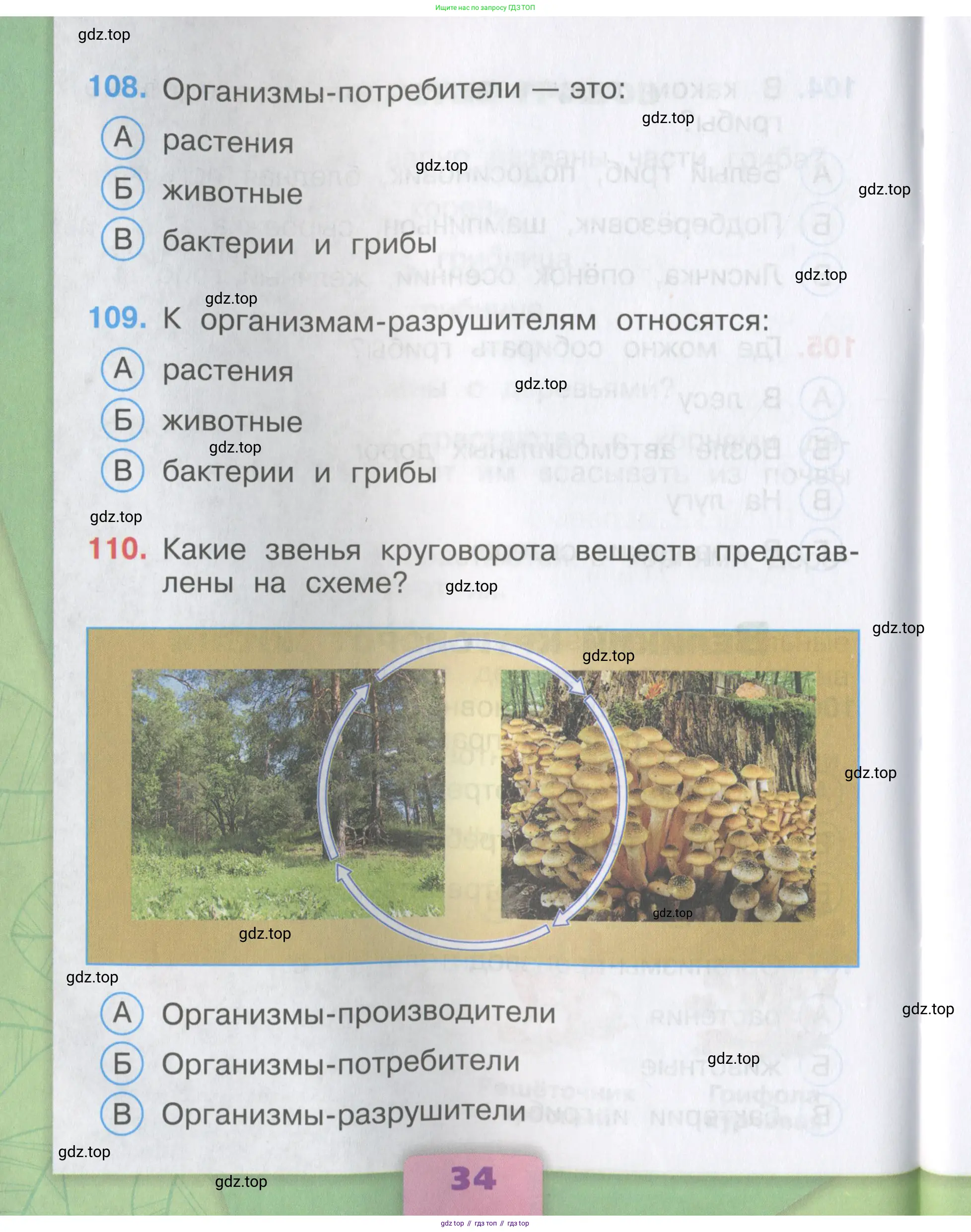 Окружающий мир, 3 класс Тесты, авторы: Плешаков Андрей Анатольевич, Гара Наталья Николаевна, Назарова З Д, издательство Просвещение, Москва, 2014, белого цвета, страница 34