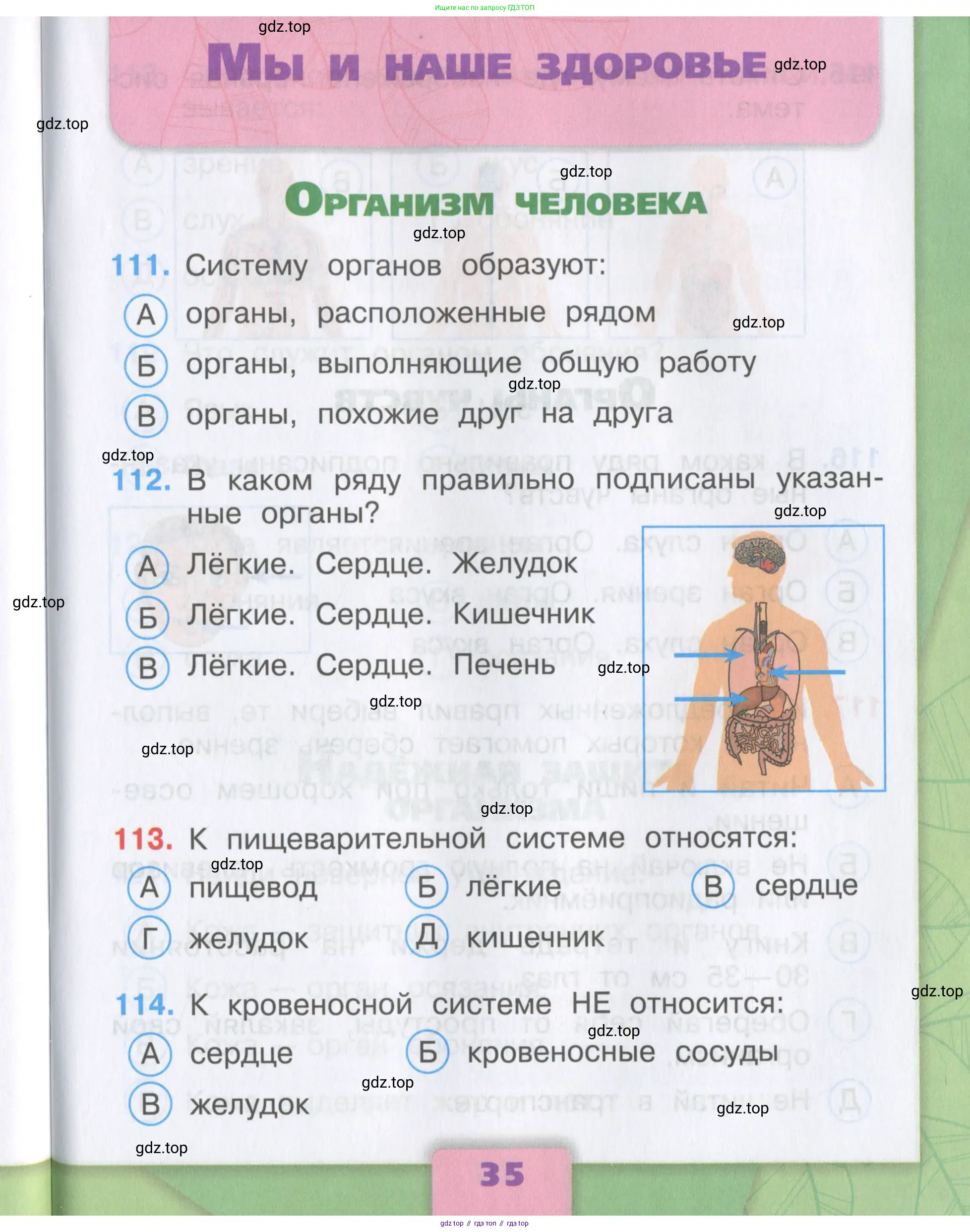 Окружающий мир, 3 класс Тесты, авторы: Плешаков Андрей Анатольевич, Гара Наталья Николаевна, Назарова З Д, издательство Просвещение, Москва, 2014, белого цвета, страница 35