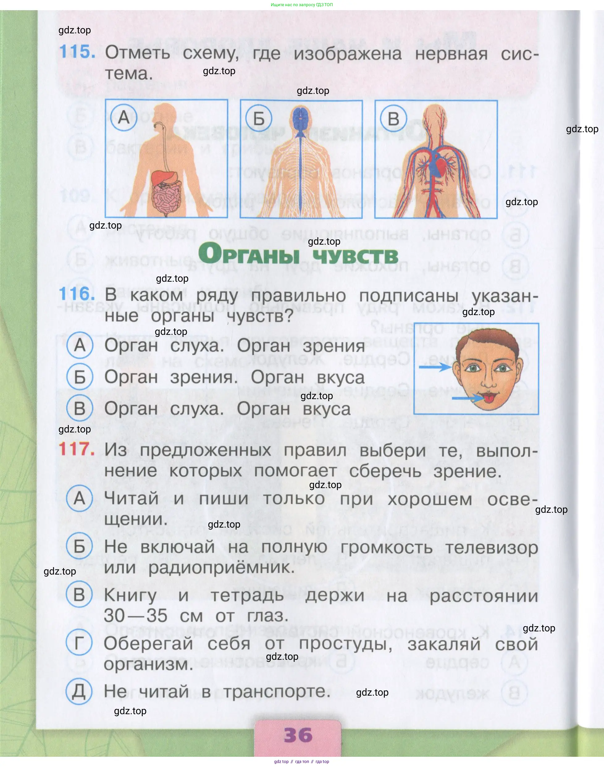 Окружающий мир, 3 класс Тесты, авторы: Плешаков Андрей Анатольевич, Гара Наталья Николаевна, Назарова З Д, издательство Просвещение, Москва, 2014, белого цвета, страница 36
