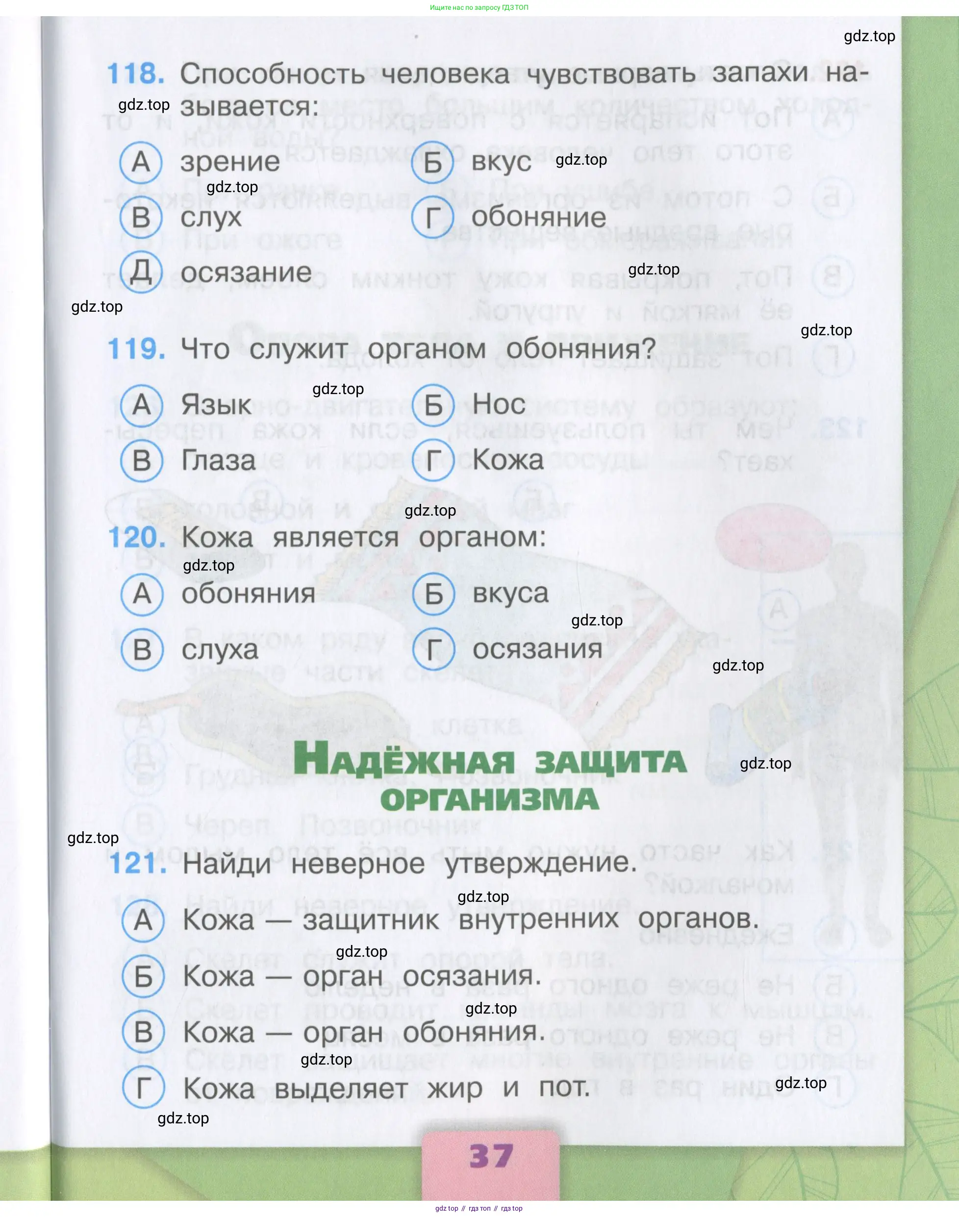 Окружающий мир, 3 класс Тесты, авторы: Плешаков Андрей Анатольевич, Гара Наталья Николаевна, Назарова З Д, издательство Просвещение, Москва, 2014, белого цвета, страница 37
