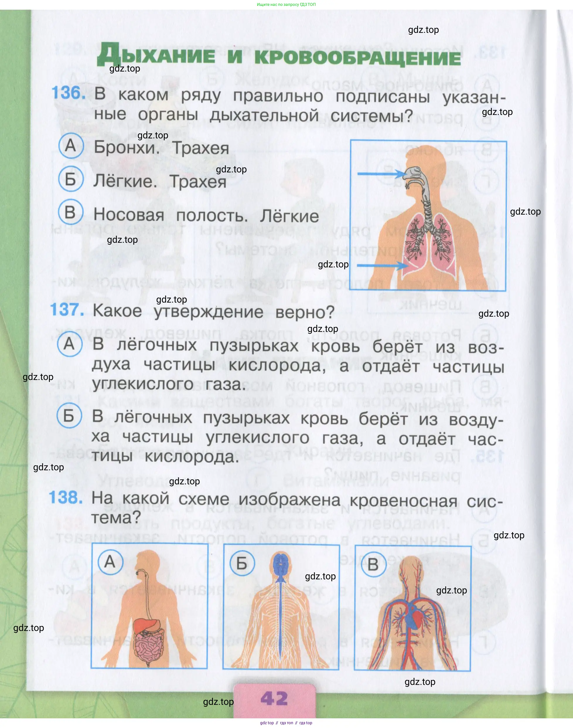 Окружающий мир, 3 класс Тесты, авторы: Плешаков Андрей Анатольевич, Гара Наталья Николаевна, Назарова З Д, издательство Просвещение, Москва, 2014, белого цвета, страница 42