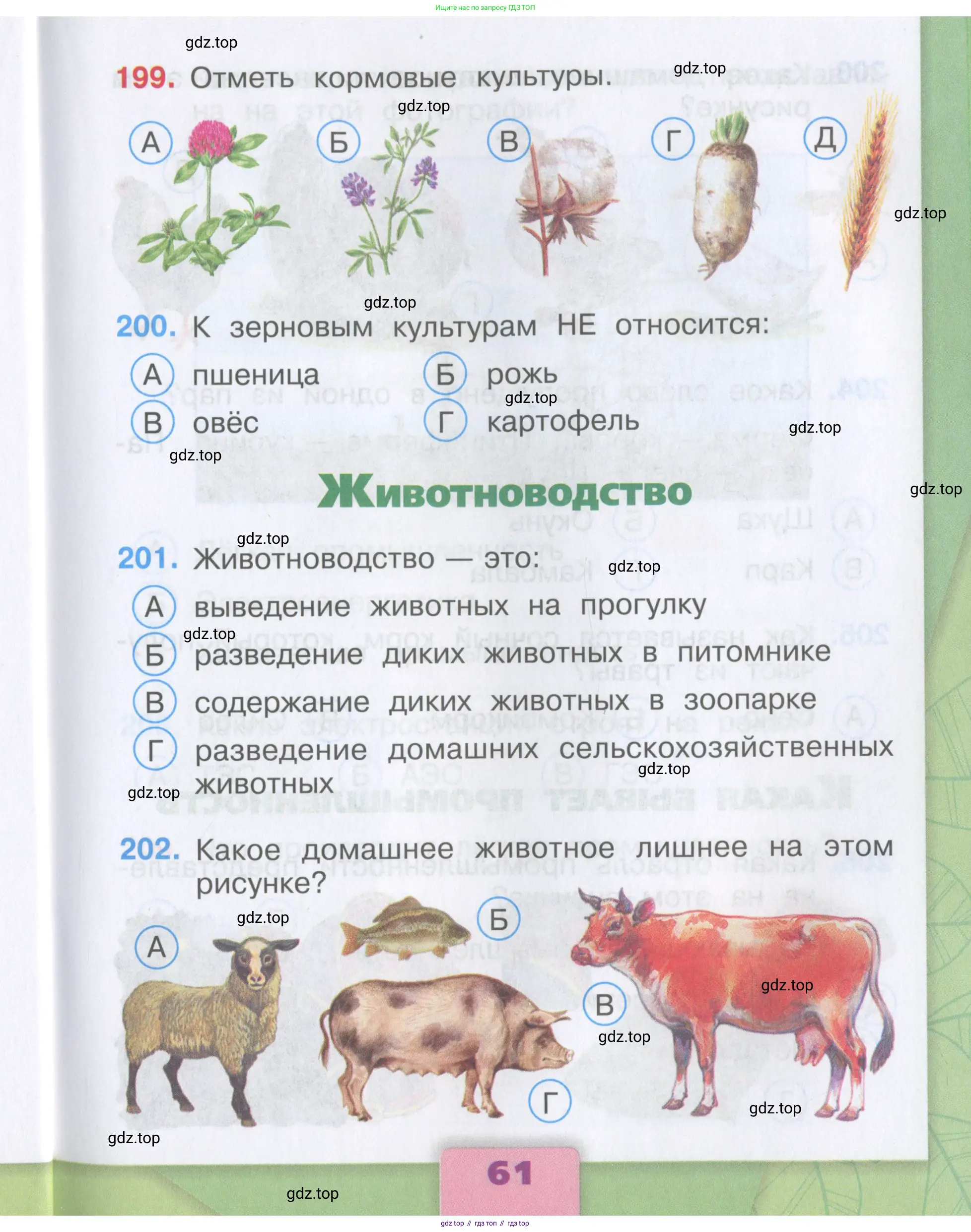Окружающий мир, 3 класс Тесты, авторы: Плешаков Андрей Анатольевич, Гара Наталья Николаевна, Назарова З Д, издательство Просвещение, Москва, 2014, белого цвета, страница 61