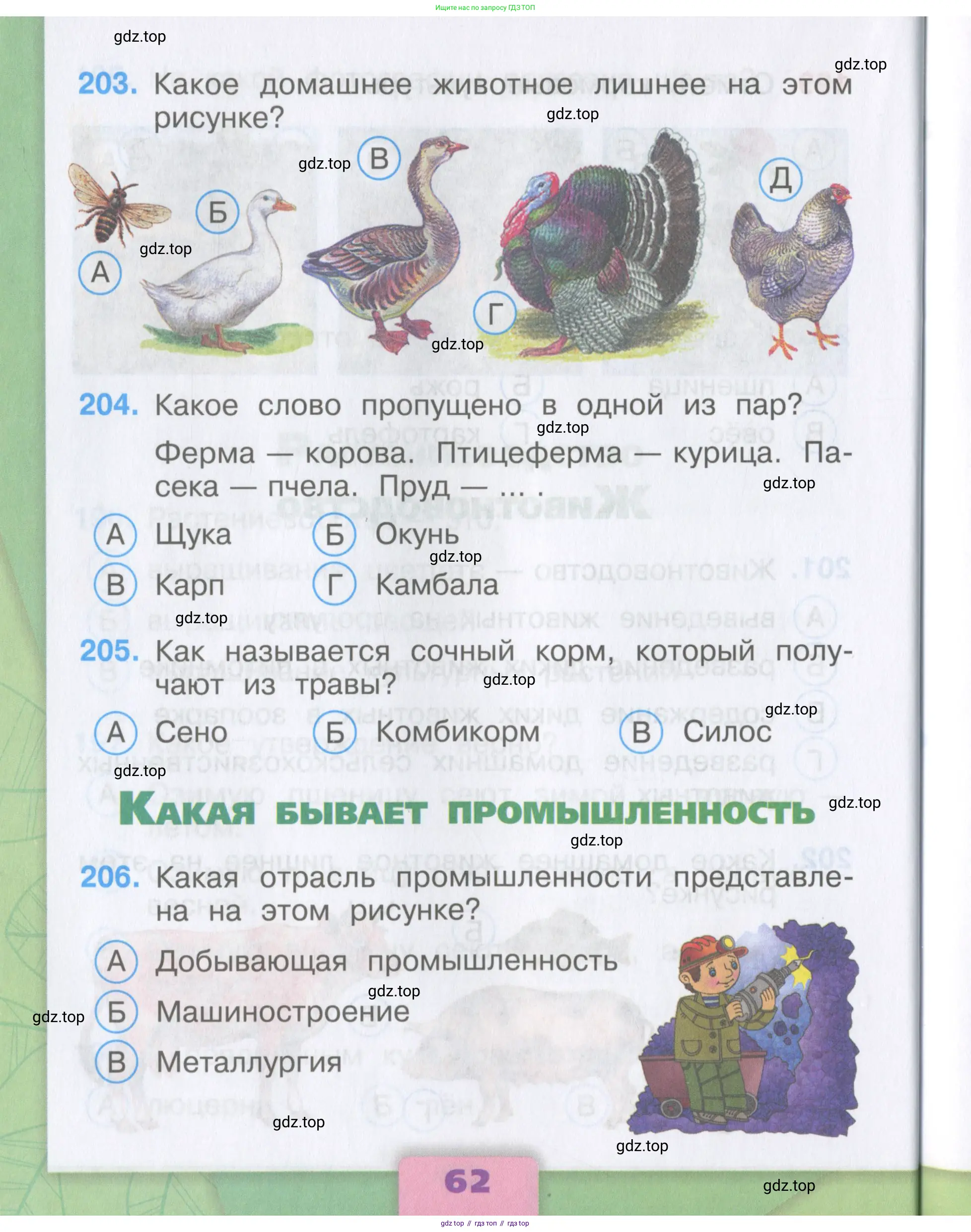Окружающий мир, 3 класс Тесты, авторы: Плешаков Андрей Анатольевич, Гара Наталья Николаевна, Назарова З Д, издательство Просвещение, Москва, 2014, белого цвета, страница 62