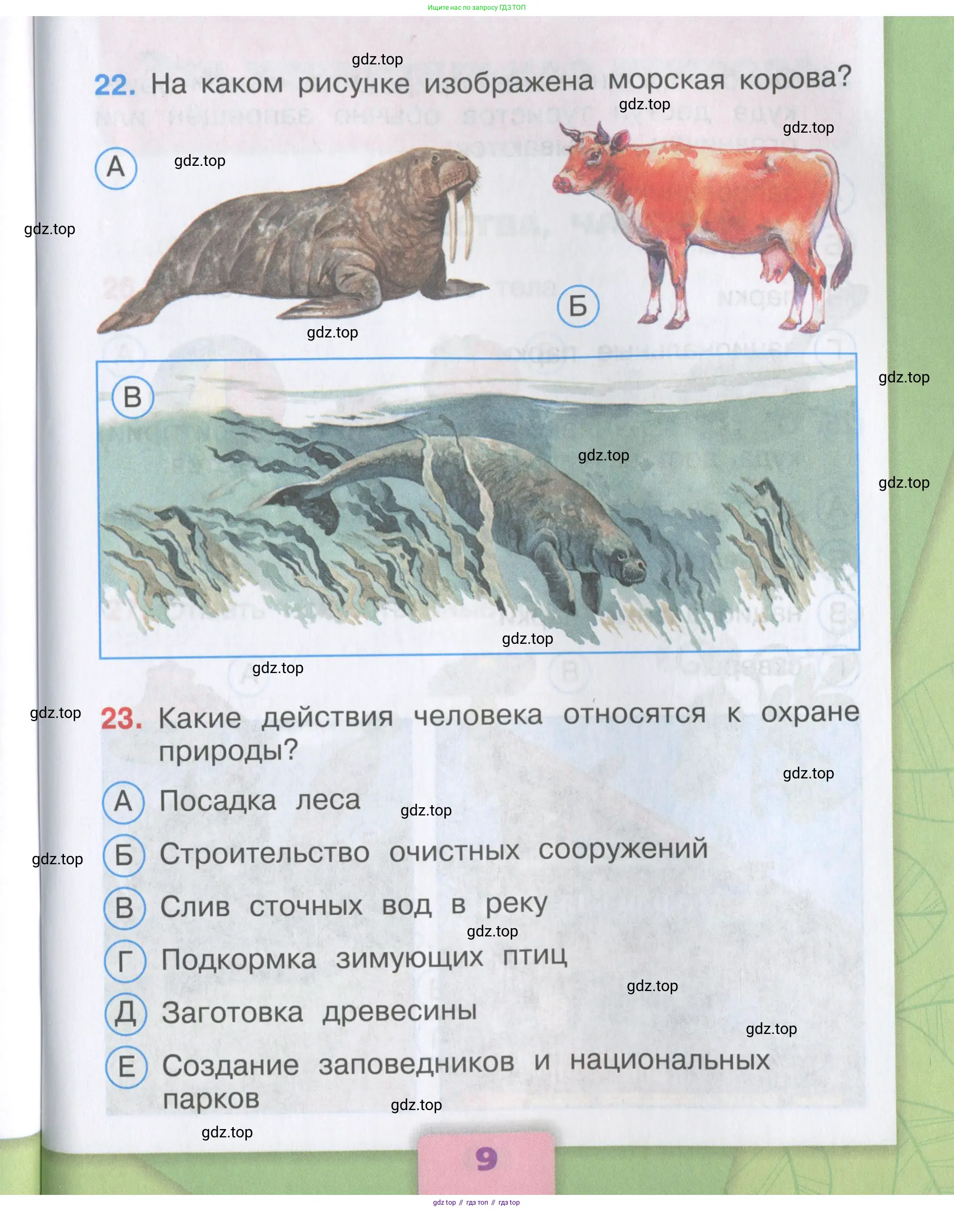 Окружающий мир, 3 класс Тесты, авторы: Плешаков Андрей Анатольевич, Гара Наталья Николаевна, Назарова З Д, издательство Просвещение, Москва, 2014, белого цвета, страница 9
