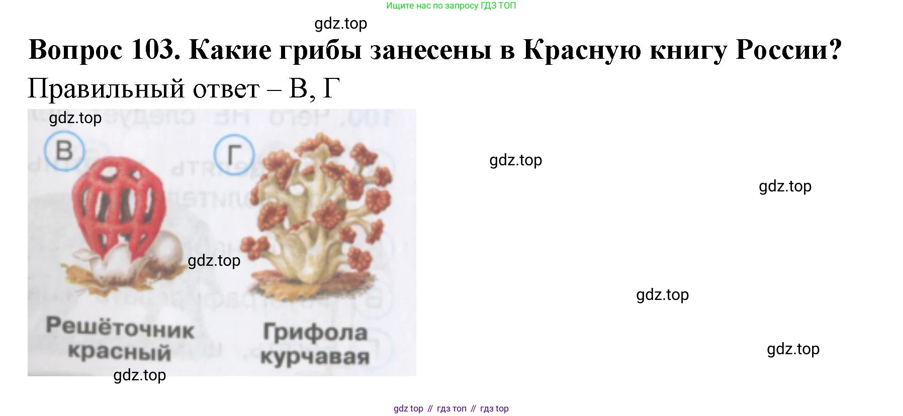 Окружающий мир, 3 класс Тесты, авторы: Плешаков Андрей Анатольевич, Гара Наталья Николаевна, Назарова З Д, издательство Просвещение, Москва, 2014, белого цвета, страница 32, номер 103, Решение