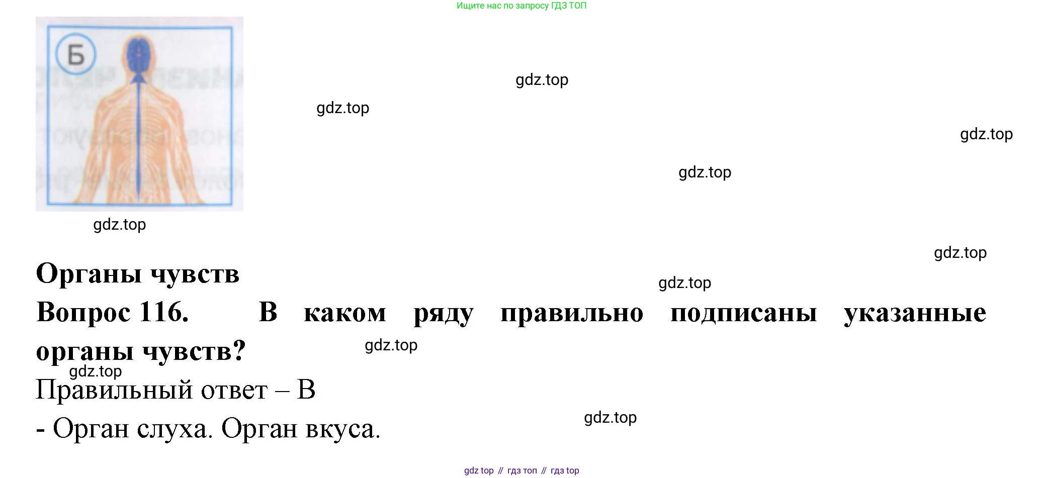 Окружающий мир, 3 класс Тесты, авторы: Плешаков Андрей Анатольевич, Гара Наталья Николаевна, Назарова З Д, издательство Просвещение, Москва, 2014, белого цвета, страница 36, номер 116, Решение