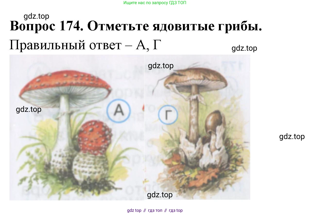 Окружающий мир, 3 класс Тесты, авторы: Плешаков Андрей Анатольевич, Гара Наталья Николаевна, Назарова З Д, издательство Просвещение, Москва, 2014, белого цвета, страница 53, номер 174, Решение