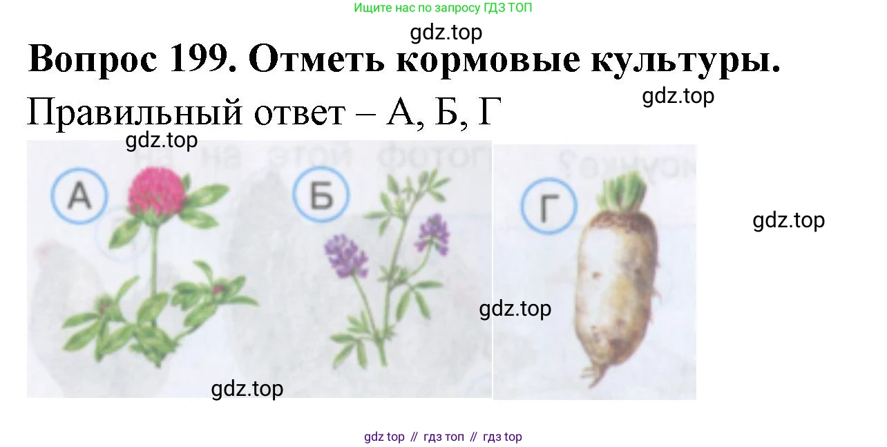 Окружающий мир, 3 класс Тесты, авторы: Плешаков Андрей Анатольевич, Гара Наталья Николаевна, Назарова З Д, издательство Просвещение, Москва, 2014, белого цвета, страница 61, номер 199, Решение