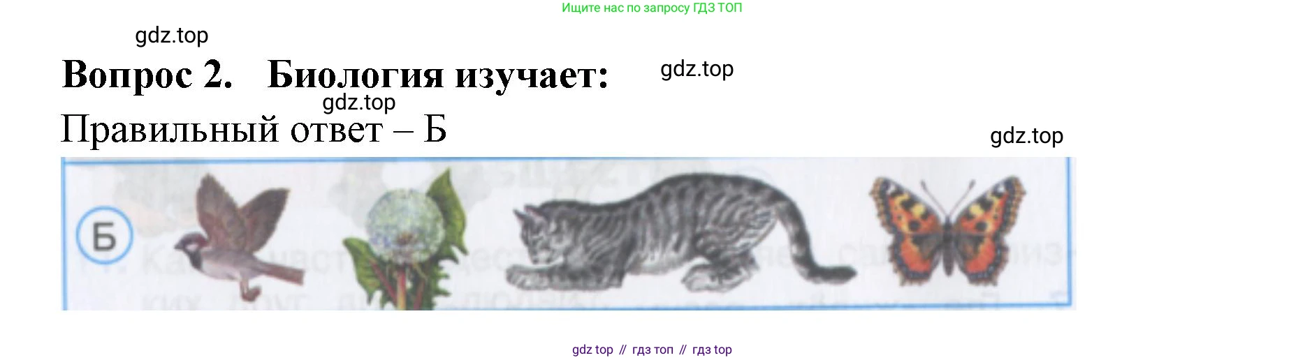 Окружающий мир, 3 класс Тесты, авторы: Плешаков Андрей Анатольевич, Гара Наталья Николаевна, Назарова З Д, издательство Просвещение, Москва, 2014, белого цвета, страница 3, номер 2, Решение