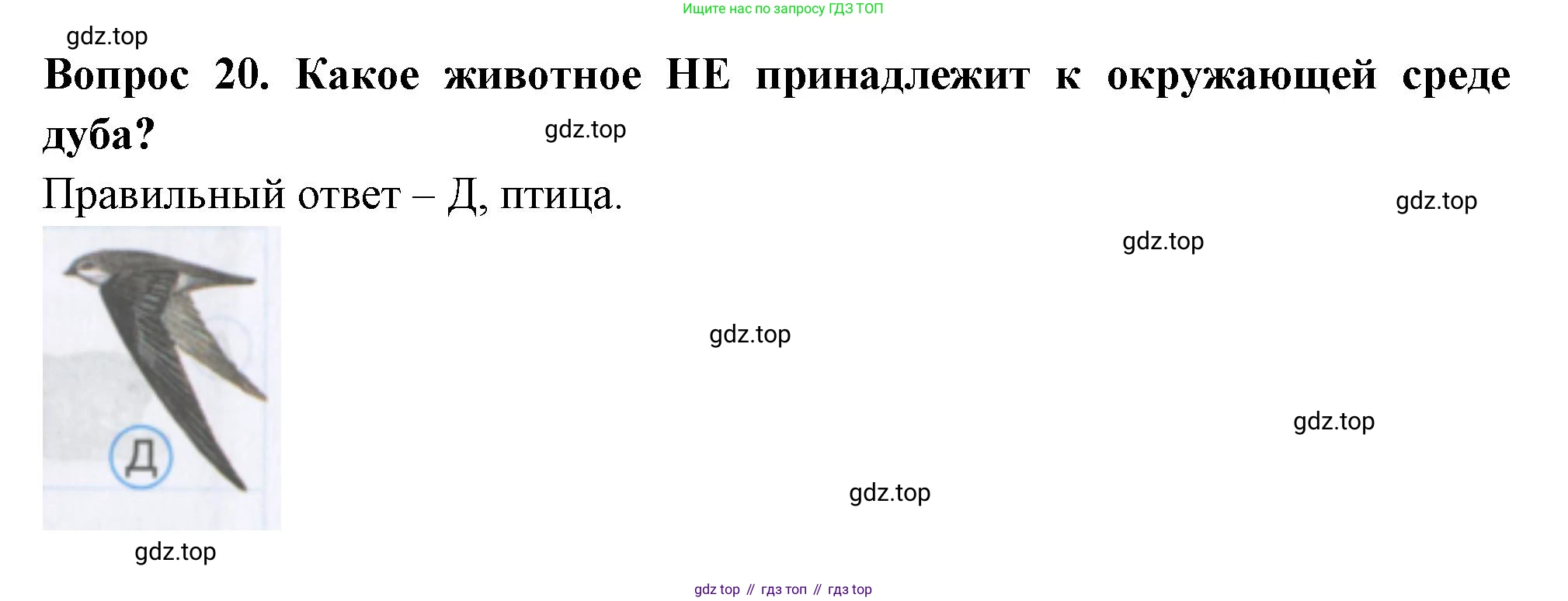 Окружающий мир, 3 класс Тесты, авторы: Плешаков Андрей Анатольевич, Гара Наталья Николаевна, Назарова З Д, издательство Просвещение, Москва, 2014, белого цвета, страница 8, номер 20, Решение