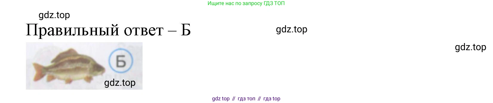 Окружающий мир, 3 класс Тесты, авторы: Плешаков Андрей Анатольевич, Гара Наталья Николаевна, Назарова З Д, издательство Просвещение, Москва, 2014, белого цвета, страница 61, номер 202, Решение (продолжение 2)