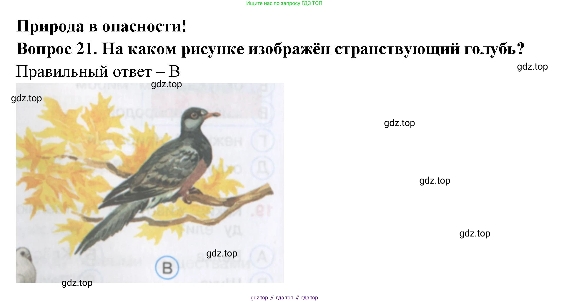 Окружающий мир, 3 класс Тесты, авторы: Плешаков Андрей Анатольевич, Гара Наталья Николаевна, Назарова З Д, издательство Просвещение, Москва, 2014, белого цвета, страница 8, номер 21, Решение