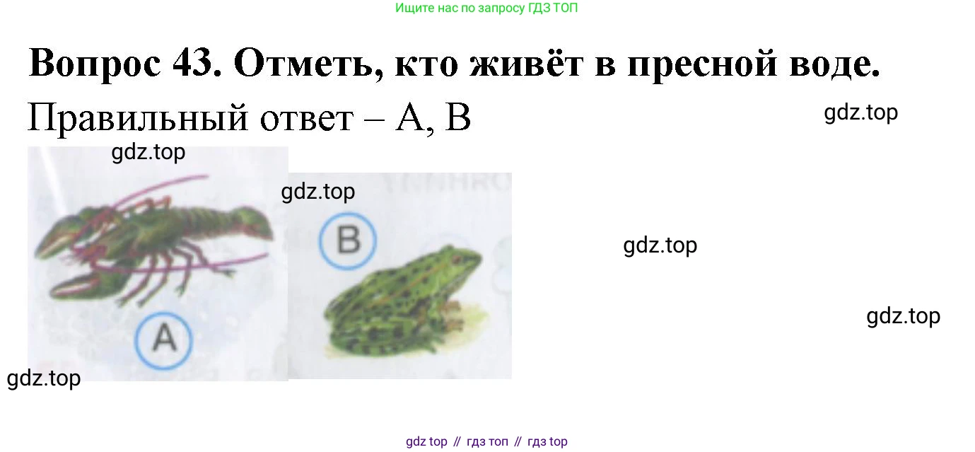 Окружающий мир, 3 класс Тесты, авторы: Плешаков Андрей Анатольевич, Гара Наталья Николаевна, Назарова З Д, издательство Просвещение, Москва, 2014, белого цвета, страница 15, номер 43, Решение