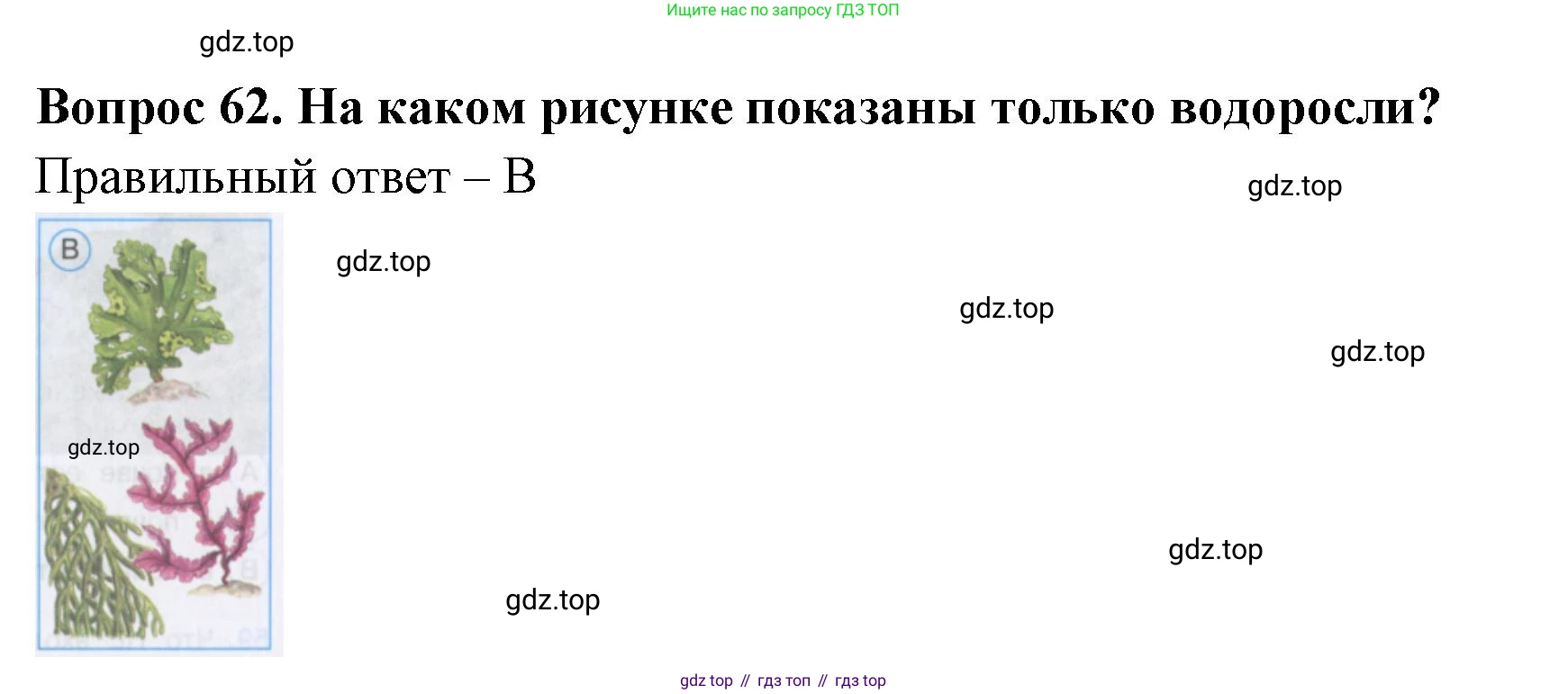 Окружающий мир, 3 класс Тесты, авторы: Плешаков Андрей Анатольевич, Гара Наталья Николаевна, Назарова З Д, издательство Просвещение, Москва, 2014, белого цвета, страница 20, номер 62, Решение