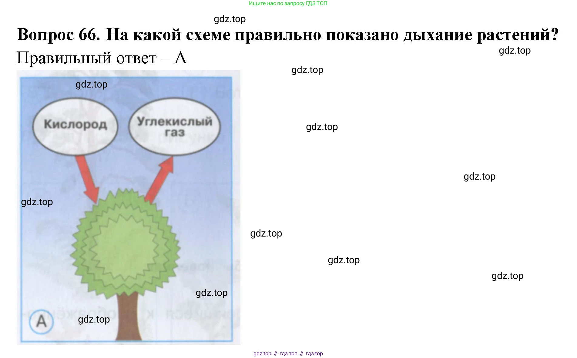 Окружающий мир, 3 класс Тесты, авторы: Плешаков Андрей Анатольевич, Гара Наталья Николаевна, Назарова З Д, издательство Просвещение, Москва, 2014, белого цвета, страница 22, номер 66, Решение