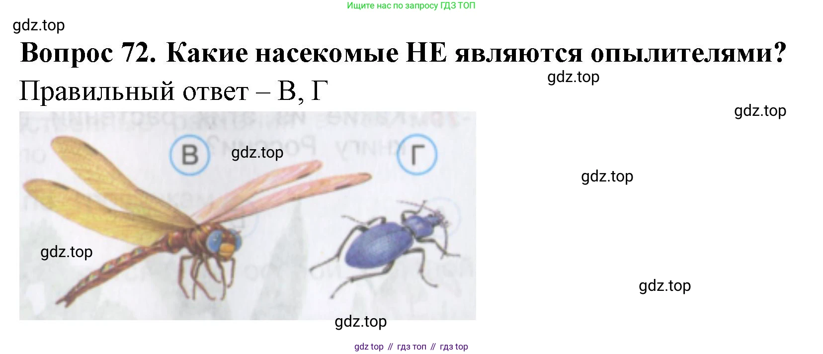 Окружающий мир, 3 класс Тесты, авторы: Плешаков Андрей Анатольевич, Гара Наталья Николаевна, Назарова З Д, издательство Просвещение, Москва, 2014, белого цвета, страница 23, номер 72, Решение