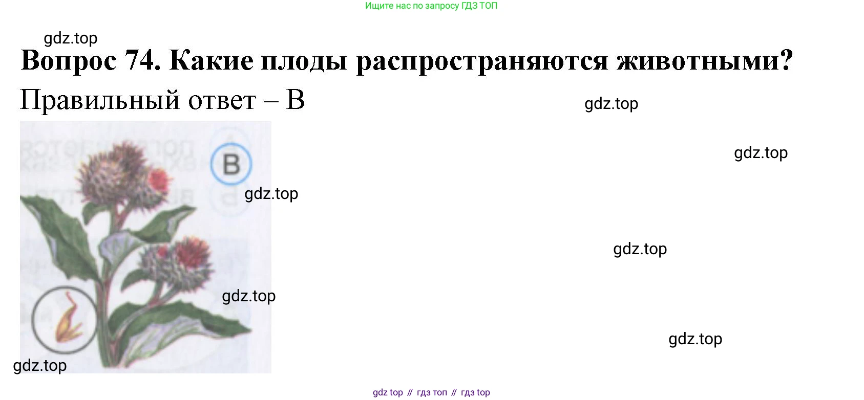 Окружающий мир, 3 класс Тесты, авторы: Плешаков Андрей Анатольевич, Гара Наталья Николаевна, Назарова З Д, издательство Просвещение, Москва, 2014, белого цвета, страница 24, номер 74, Решение